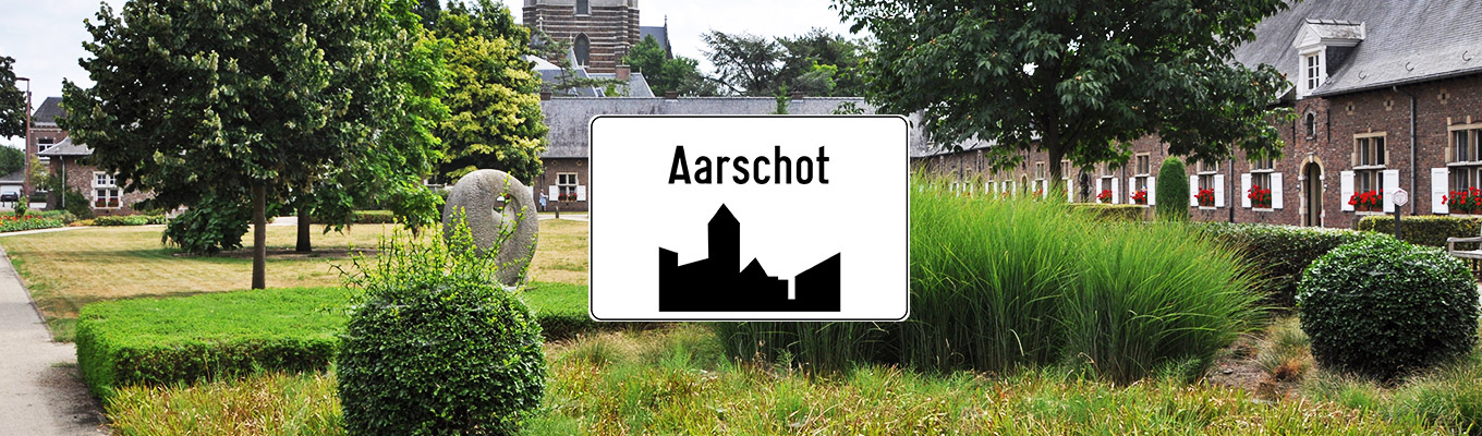 Ongediertebestrijding in Aarschot