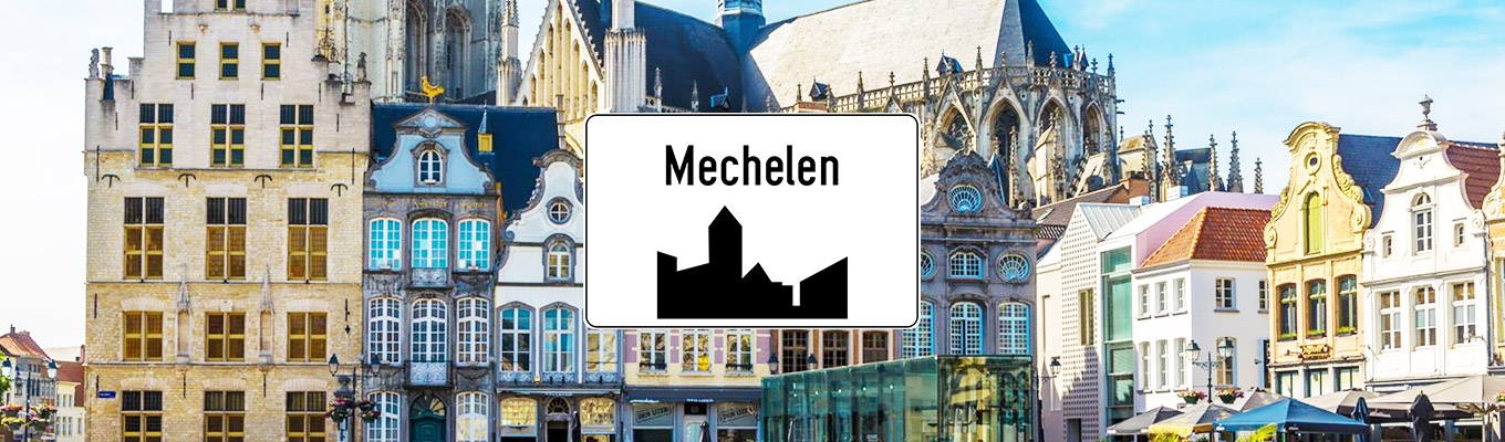 Ongediertebestrijding Mechelen
